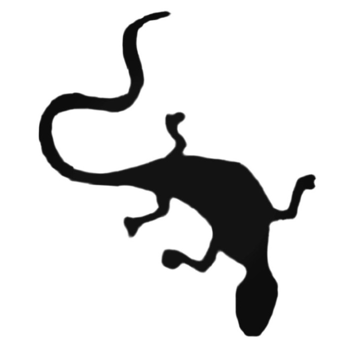 Buy Long Gecko Decal Sticker Online
