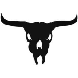 Longhorn Skull Stickers – Western Bull Skull Decals (2-Pack)