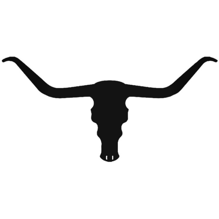 Longhorn Skull Stickers – Texas Ranch Western Decals (2-Pack)