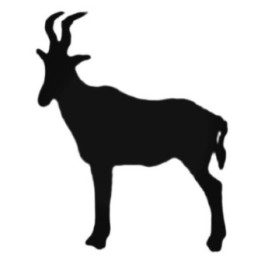 Buy Lovely Antelope Decal Sticker Online