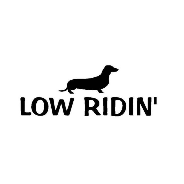 Buy Low Ridin Wiener Dog Breed Vinyl Decal Sticker Online