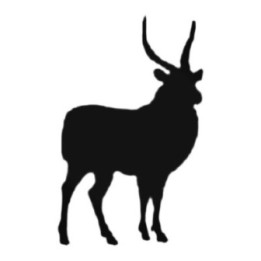 Buy Male Antelope Decal Sticker Online