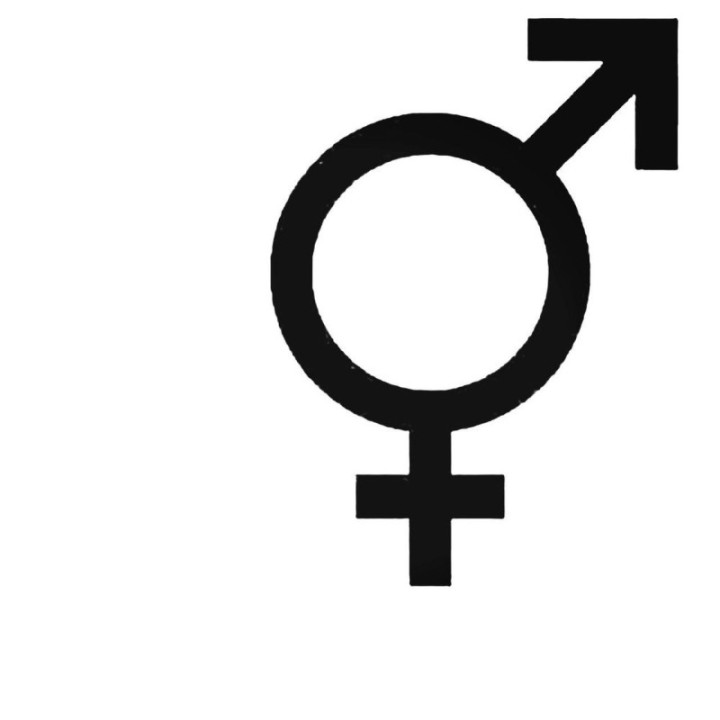 Male Female Gender Symbol Stickers – Mars Venus Decals (2-Pack)