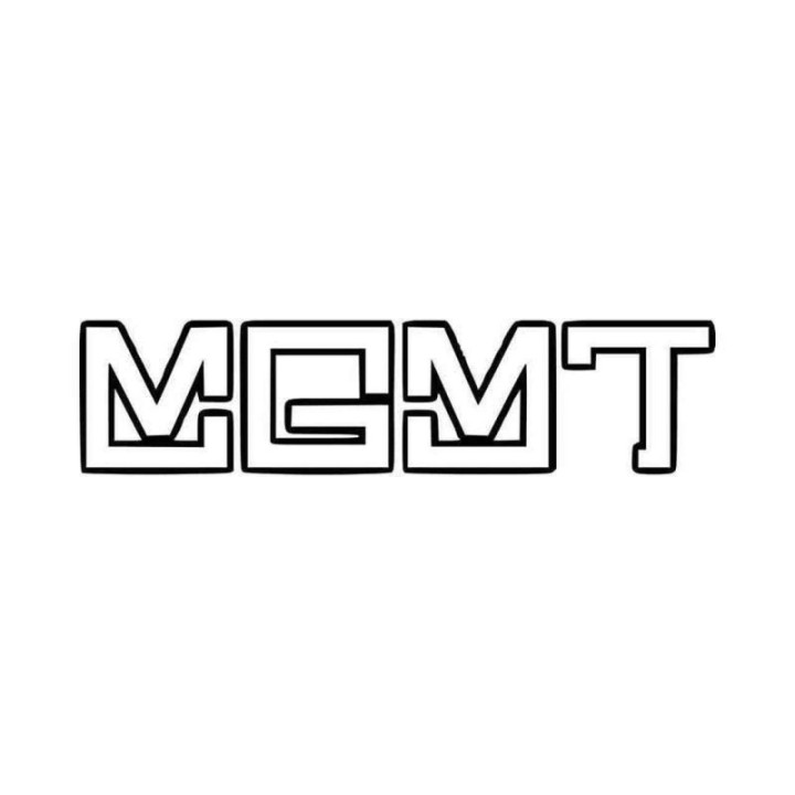 MGMT Stickers – Kids Electric Feel Decals (2-Pack)