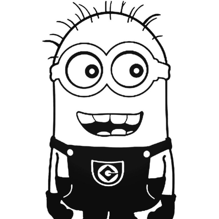 Minion Stickers – Despicable Me Decals (2-Pack)