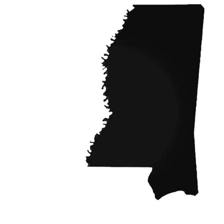 Buy Mississippi Ms State Decal Sticker Online