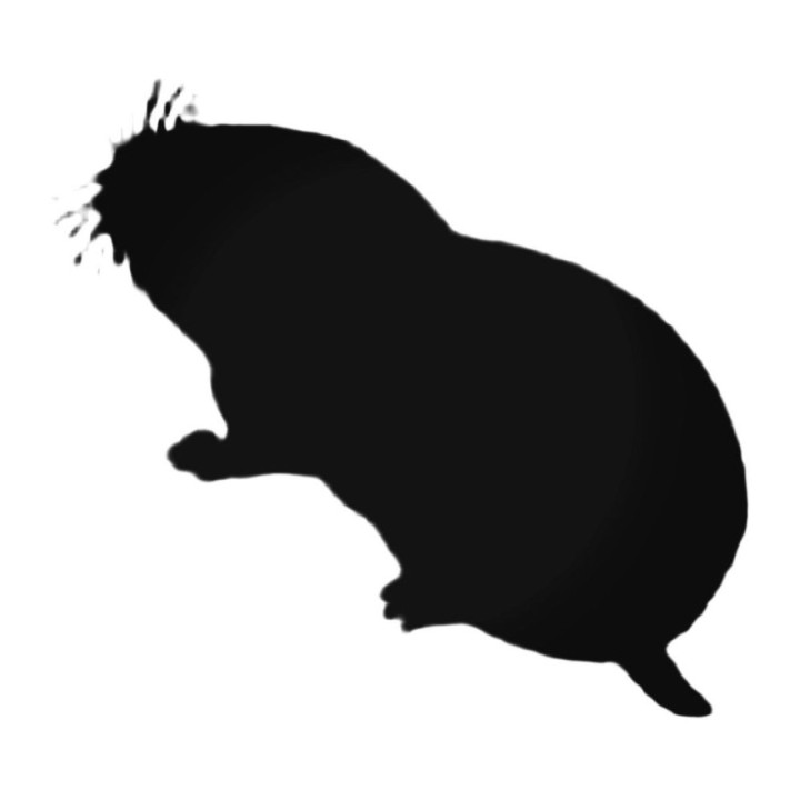 Buy Mole Walking Decal Sticker Online