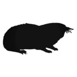 Buy Mole With Fuzzy Face Decal Sticker Online
