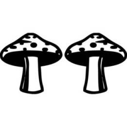 Mushroom Stickers – Toadstool Fungi Nature Decals (2-Pack)