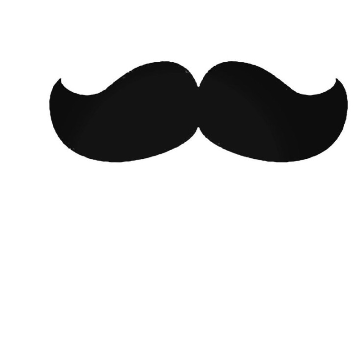Moustache Stickers – Hipster Movember Decals (2-Pack)