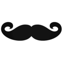 Moustache Stickers – Funny Novelty Car Decals (2-Pack)