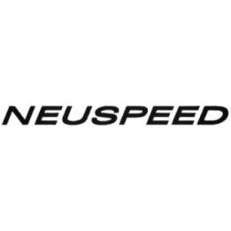 Buy Neuspeed S Vinl Car Graphics Decal Sticker Online