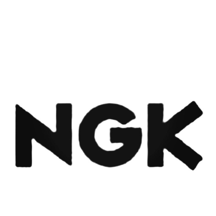 Buy Ngk Aftermarket Decal Sticker Online