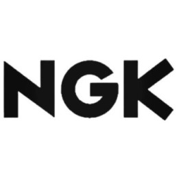 Buy Ngk Spark Plugs 02 Decal Sticker Online