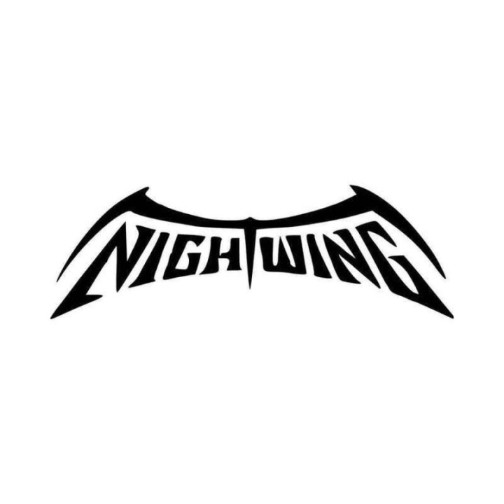 Nightwing Stickers – DC Comics Decals (2-Pack)