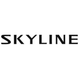 Buy Nissan Skyline Decal Sticker Online