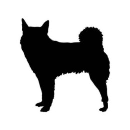 Buy Norwegian Buhund Dog Vinyl Decal Sticker Online