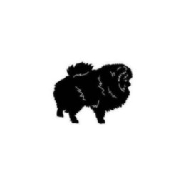 Buy Pomeranian Dog Style 5 Decal Sticker Online