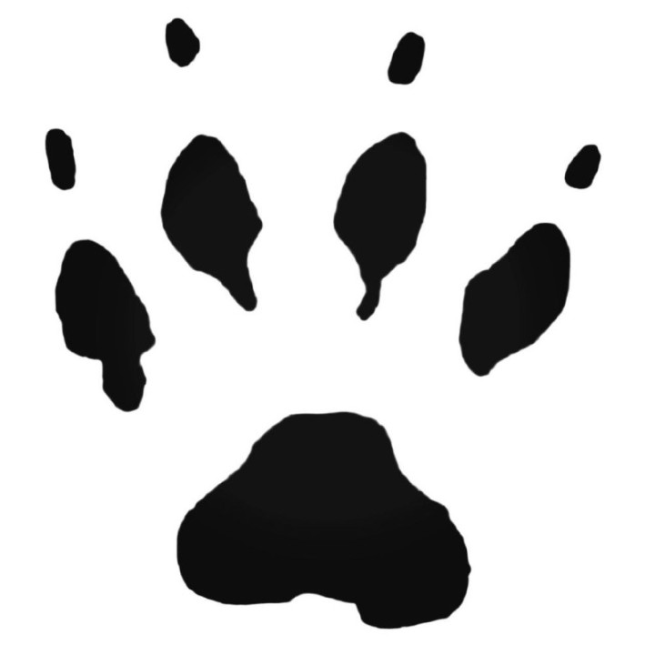Buy Prarie Dog Paw Print Foot Track Decal Sticker Online