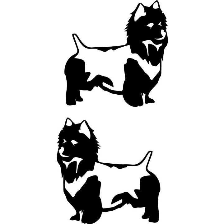 Buy Australian Terrier Online