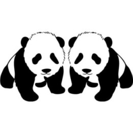 Buy Baby Panda Wildlfie Online