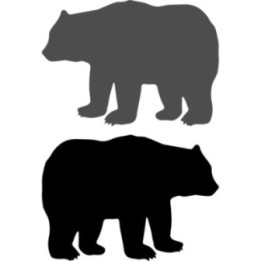 Buy Bear Grizzly Online
