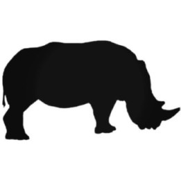 Buy Rhino 11 Decal Sticker Online