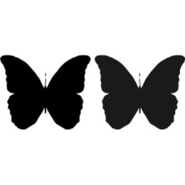 Buy Butterfly Decal Sticker 40 Online
