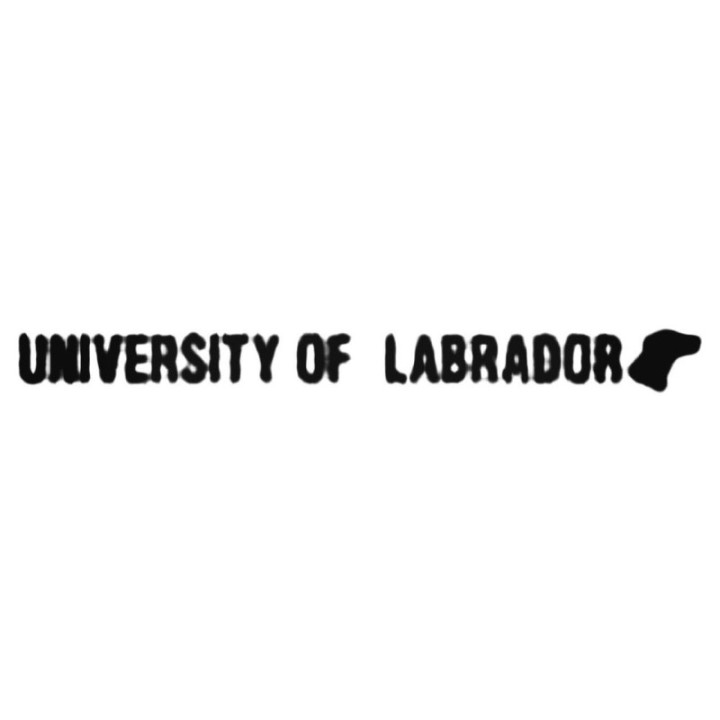 University of Labrador Stickers – Funny Dog Decals (2-Pack)