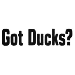 Got Ducks? Stickers – Funny Duck Quote Decals (2-Pack)