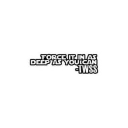 TWSS Stickers – Force It In Deep Funny Quote Decals (2-Pack)