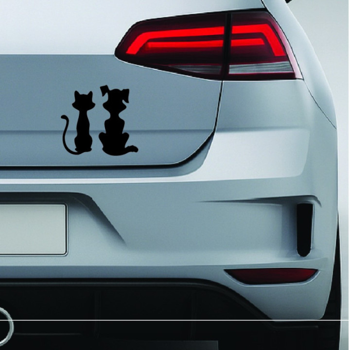 Buy Cat And Dog Online