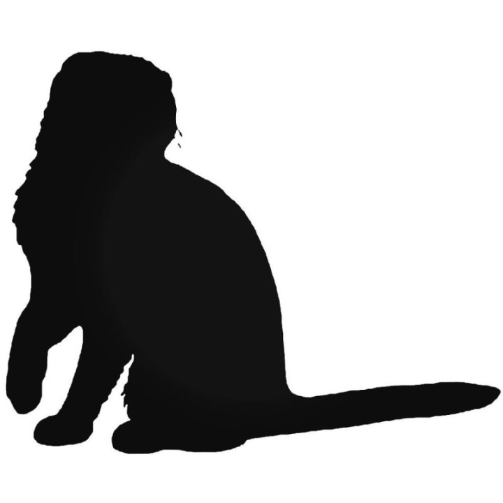 Buy Scottish Fold Cat Vinyl Decal Sticker Online