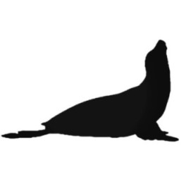 Sea Lion Stickers – Ocean Wildlife Silhouette Decals (2-Pack)