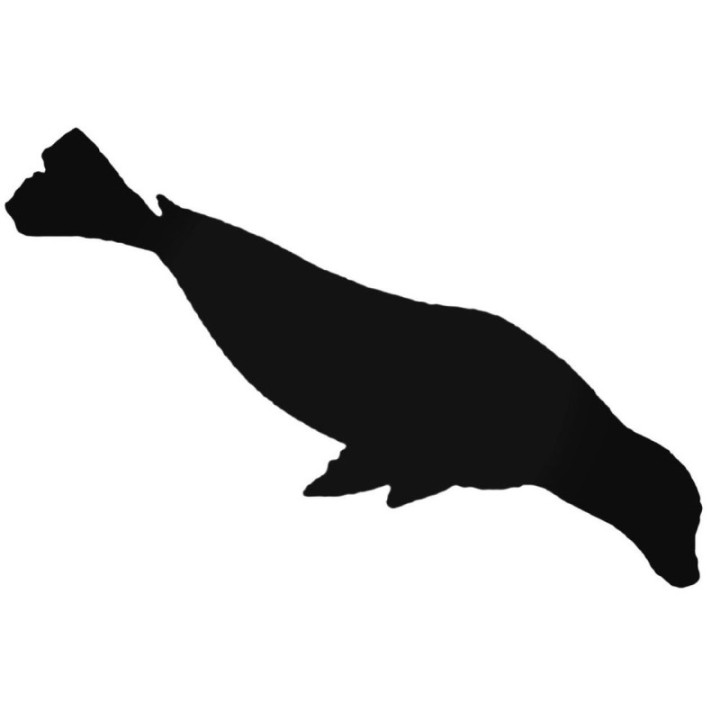 Seal Stickers – Sea Lion Wildlife Decals (2-Pack)