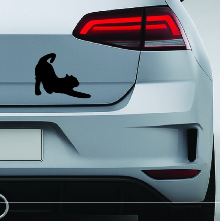 Buy Cat Stretching Online