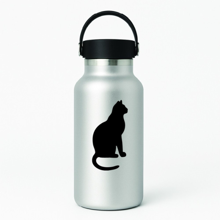 Buy Cat Online