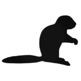 Buy Silly Ferret Decal Sticker Online