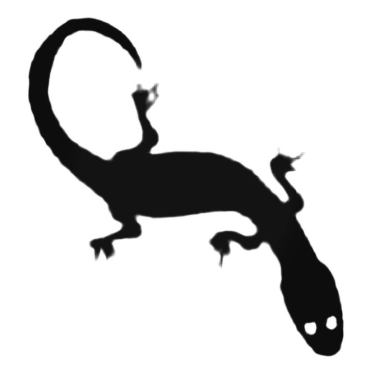 Buy Silly Gecko Decal Sticker Online