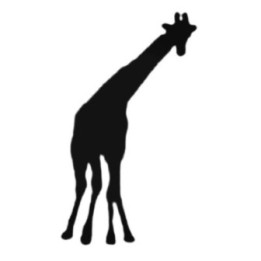 Buy Silly Giraffe Decal Sticker Online
