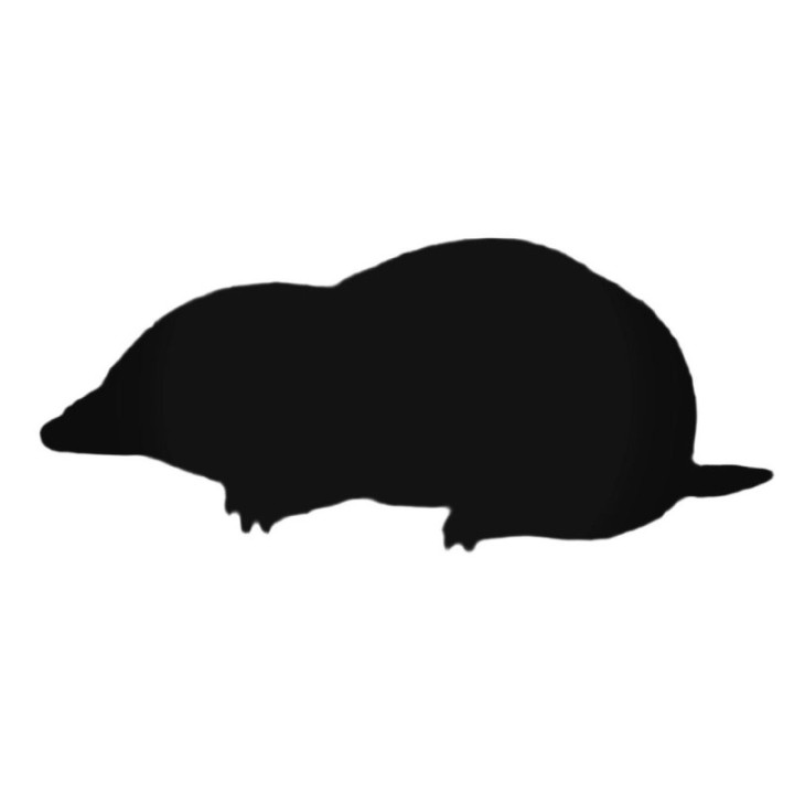 Buy Simple Mole Decal Sticker Online