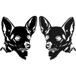 Buy Chihuahua Dog Face Online