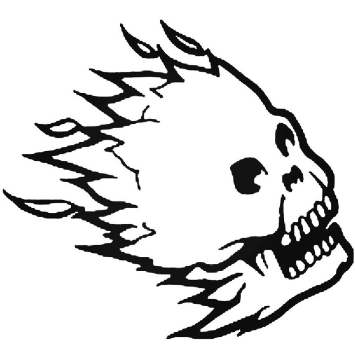Flaming Skull Stickers – Tribal Fire Skull Decals (2-Pack)