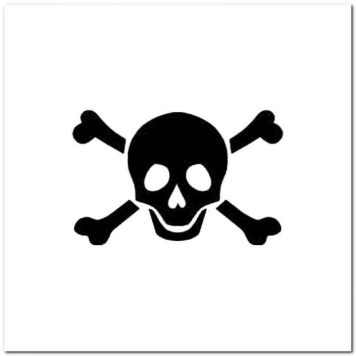 Skull and Crossbones Stickers – Jolly Roger Decals (2-Pack)