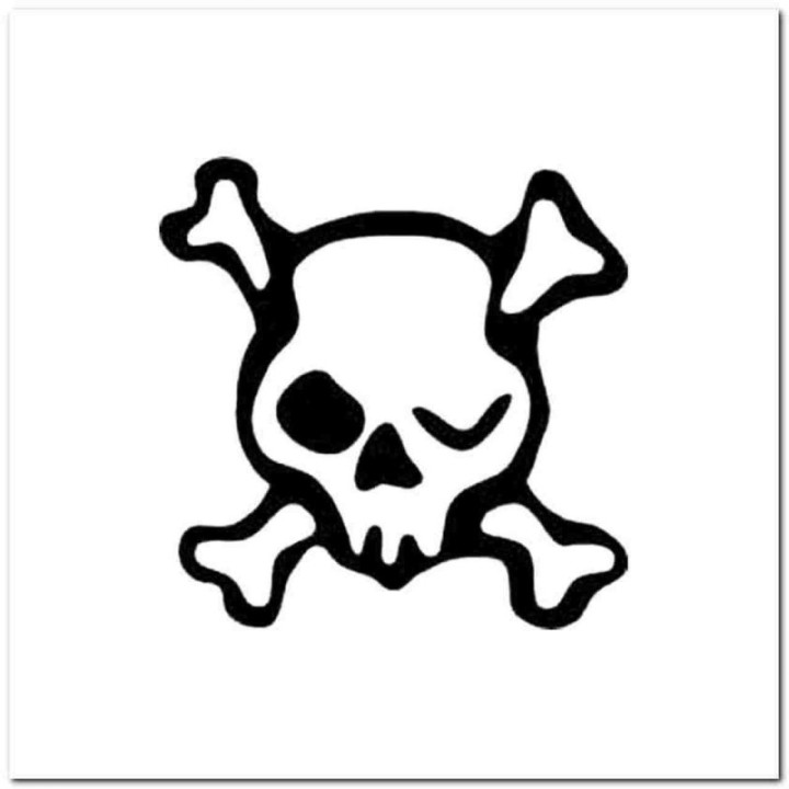 Skull and Crossbones Stickers – Pirate Skull Decals (2-Pack)
