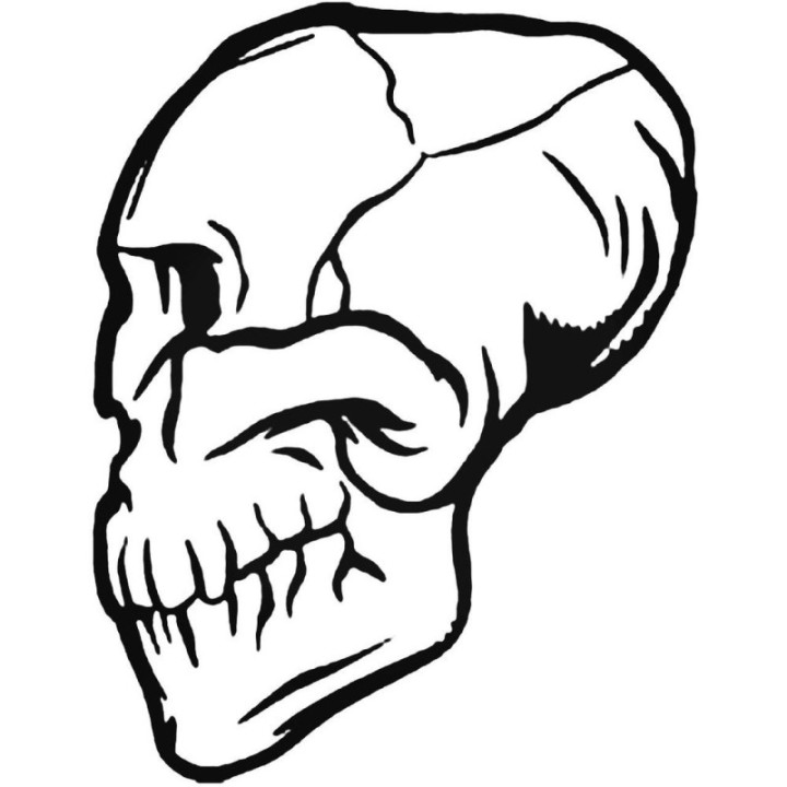 Skull Stickers – Side Profile Bone Graphic Decals (2-Pack)