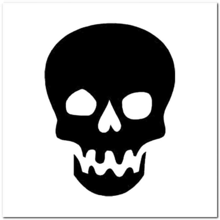 Skull Stickers – Skeleton Head Vinyl Decals (2-Pack)