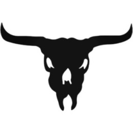 Longhorn Cow Skull Stickers – Western Bull Decals (2-Pack)
