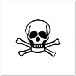 Skull and Crossbones Stickers – Jolly Roger Decals (2-Pack)