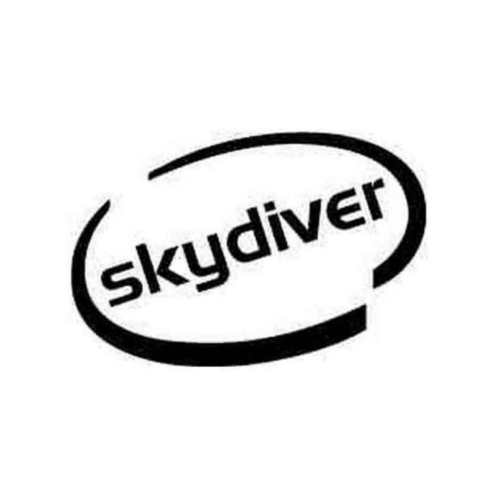 Buy Skydistyle Oval Decal Sticker Online